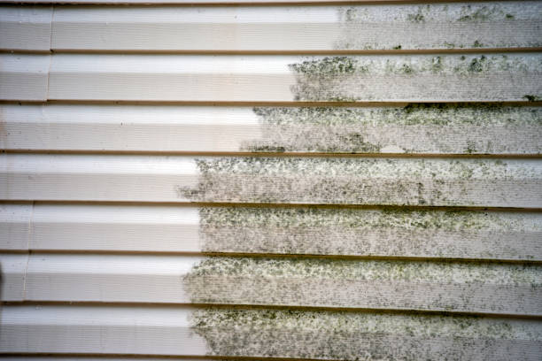  Bellevue, NE Siding Installation Pros