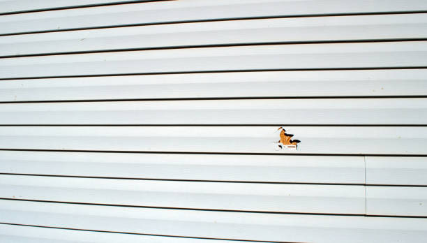 Professional Siding Installation & Repair in Bellevue, NE